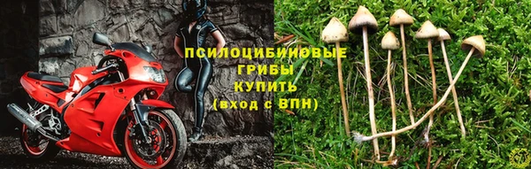 стаф Краснослободск