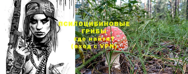 стаф Краснослободск